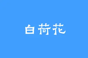 白荷花