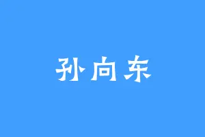 孙向东