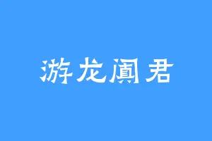 游龙阗君