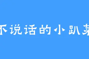 不说话的小趴菜