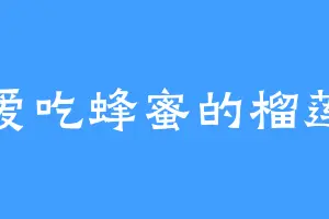 爱吃蜂蜜的榴莲