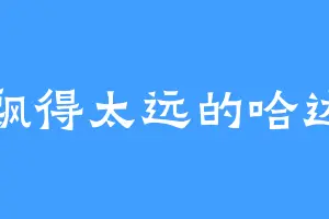 飘得太远的哈达