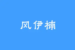 风伊楠