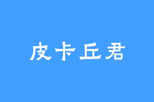 皮卡丘君