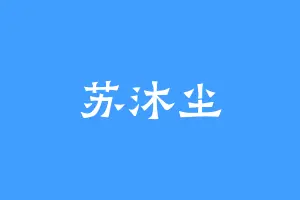 苏沐尘