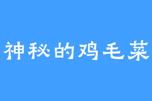 神秘的鸡毛菜