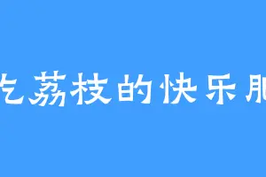 爱吃荔枝的快乐肥宅