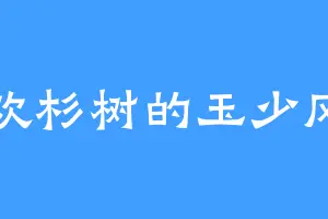 喜欢杉树的玉少风13