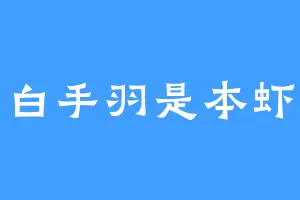 白手羽是本虾