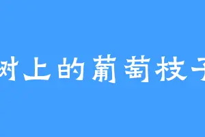树上的葡萄枝子