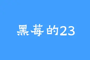 黑莓的23