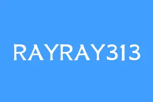 RAYRAY313