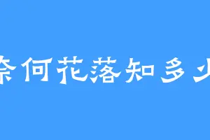 奈何花落知多少