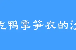 爱吃鸭掌笋衣的汐瑶