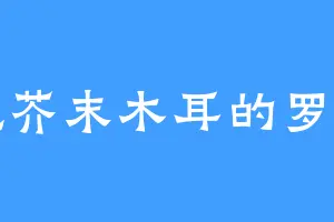 爱吃芥末木耳的罗夜国