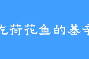 爱吃荷花鱼的基辛格