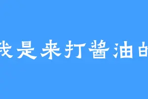 我是来打酱油的