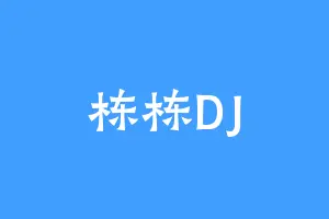 栋栋DJ
