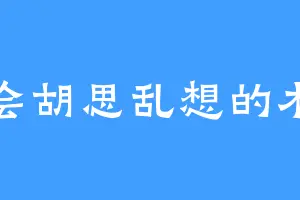 总会胡思乱想的木头