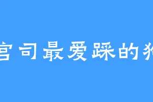 宫司最爱踩的狗