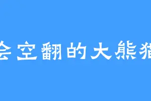 会空翻的大熊猫