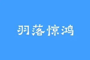 羽落惊鸿