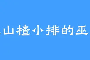 爱吃山楂小排的巫老怪