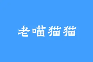 老喵猫猫