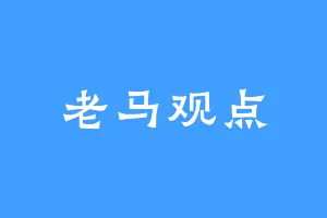 老马观点