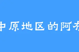 中原地区的阿布