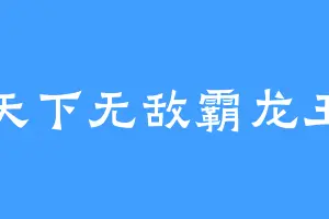 天下无敌霸龙王