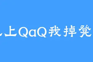 记上QaQ我掉凳了