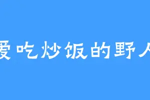 爱吃炒饭的野人