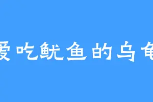 爱吃鱿鱼的乌龟