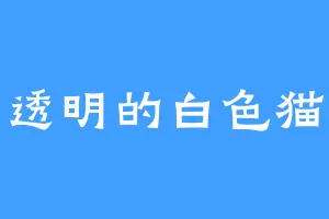 半透明的白色猫猫