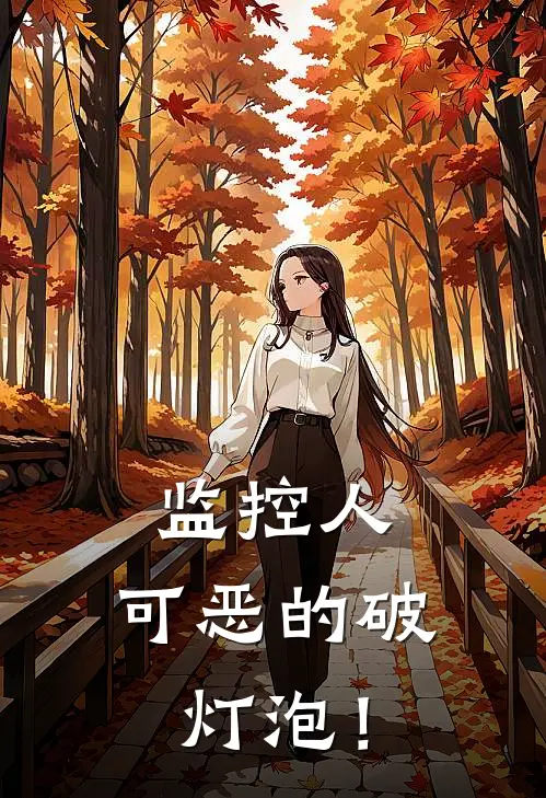 监控人：可恶的破灯泡！(流明流明)完本小说_全本免费小说监控人：可恶的破灯泡！流明流明