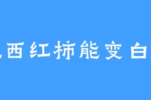 吃西红柿能变白吗