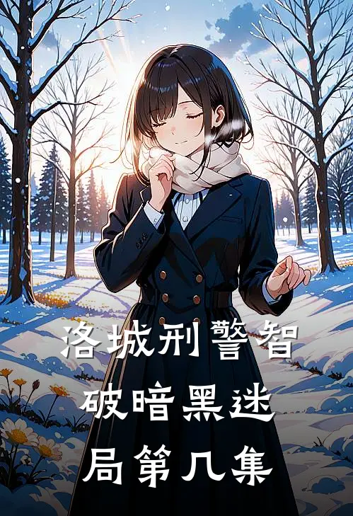 洛城刑警智破暗黑迷局第几集