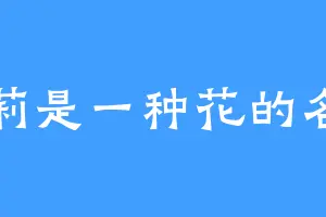 茉莉是一种花的名字