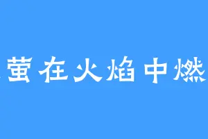 火萤在火焰中燃尽