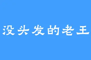 没头发的老王