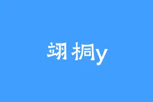 翊桐y