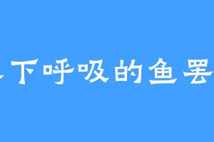 水下呼吸的鱼罢了