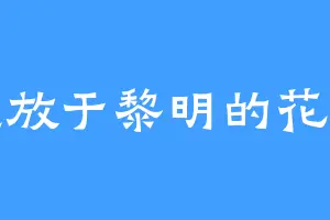 盛放于黎明的花朵