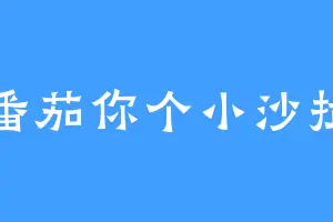 番茄你个小沙拉