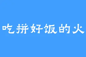 爱吃拼好饭的火火