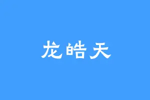 龙皓天