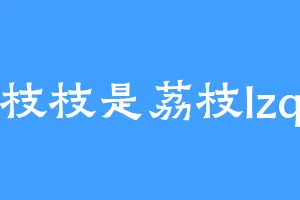 枝枝是荔枝lzq