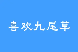 喜欢九尾草