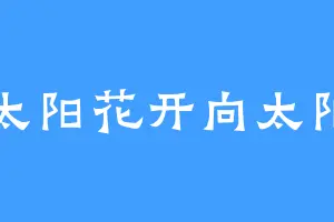 太阳花开向太阳